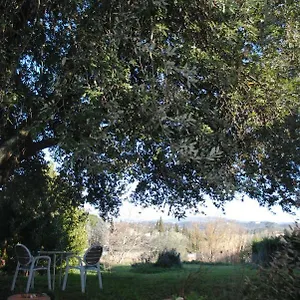 Fattoria Di Malavolta , Florence Italy